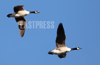 EA336481, Eastpress, Porvoo, Finland